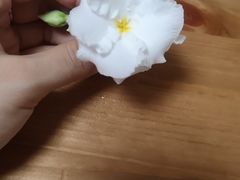 -炳记云饺(德政总店)