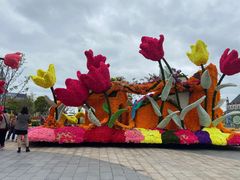 -荷兰花海