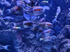 -成都浩海立方海洋公园