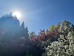 -元大都城垣遗址公园