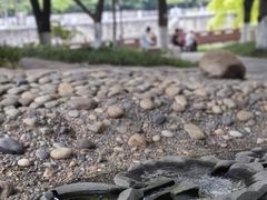 -成都市活水公园