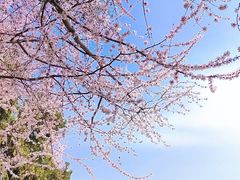 -颐和园