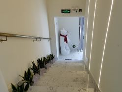 -海涛医疗美容·面部抗衰·注射美鼻