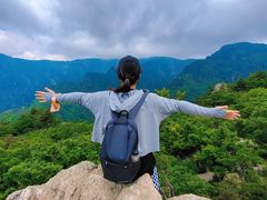 -牛背梁国家森林公园