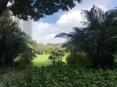 -东风公园