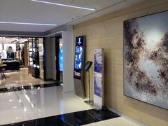 -DFS迪斐世(香港广东道店)