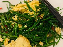 -新疆兵团食府清真(马连道店)