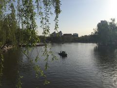 -迎泽公园