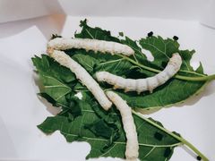 -双桥饭店(锦溪店)