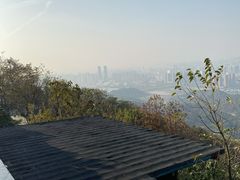 -茶颜悦色(岳麓山顶店)