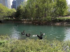 -长白岛森林公园