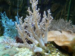 android_upload_pic-北戴河圣蓝海洋公园