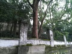-蒋氏故居