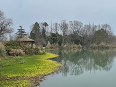 -桤木河湿地公园