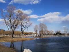 -大兴滨河森林公园