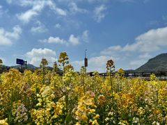 -丰收渔港饭店(嵊泗店)