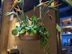 -云海肴·汽锅鸡·云南菜(天津国金汇店)