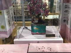 -九木杂物社(新一城店)