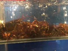 -柳记海鲜坊·蒸汽海鲜·福州菜·香辣蟹(芳群园店)