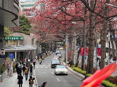 -烈士陵园(地铁站)