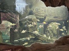 -长鹿旅游休博园