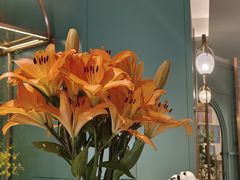 -南堂馆·新川菜(春熙路店)