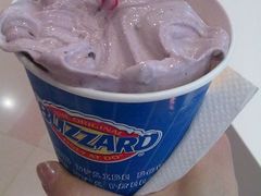 双倍蓝莓中杯-DQ(西苑店)