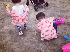 -艾溪湖湿地公园