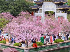 -宝墨园景区