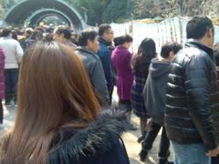 -人民公园-相亲角