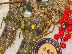 -喜聚薈·花膠雞海鮮火鍋(越秀店)