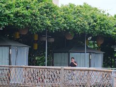 -陶缘一号·四季缘·老字号顺德菜·户外婚礼家宴(西滘店)