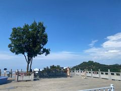 -少华山国家森林公园