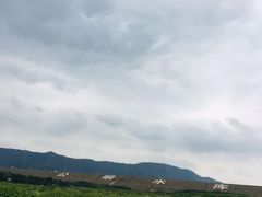 -光明小镇欢乐田园