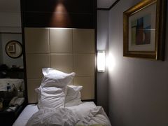 -武汉江城明珠豪生大酒店