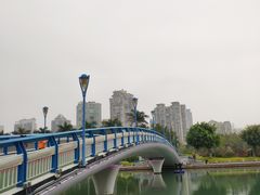 景点-白鹭洲公园