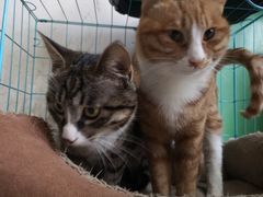 -乔家大院私房菜(海佳云顶店)