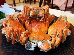 -王宝和酒家(黄浦店)