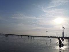 -碧海金沙