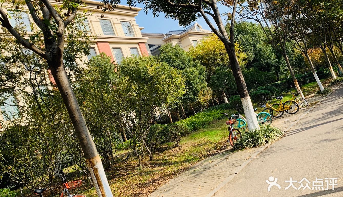 这样的天气当然最适合骑着小单车感受初冬气息啦