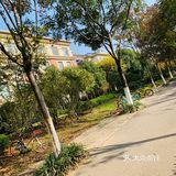 这样的天气当然最适合骑着小单车感受初冬气息啦