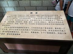 -长洲岛