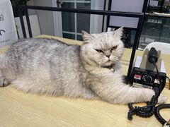 -Oasis绿洲银饰珍珠手作diy(壹方城店)
