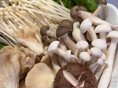 -九鼎轩脆毛肚火锅(三钢里店)
