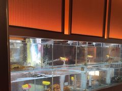 -苏淮景·苏闽融创菜·海鲜(原空港井河轩店)