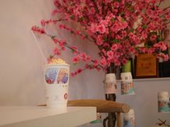 -一杯潮茶·专注潮汕茶饮(十二中创始店)
