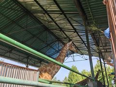 -秦皇岛野生动物园