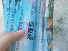 -广东惠东海龟国家级自然保护区