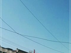 -侯记烧鸡楼
