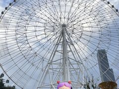 -南昌之星摩天轮